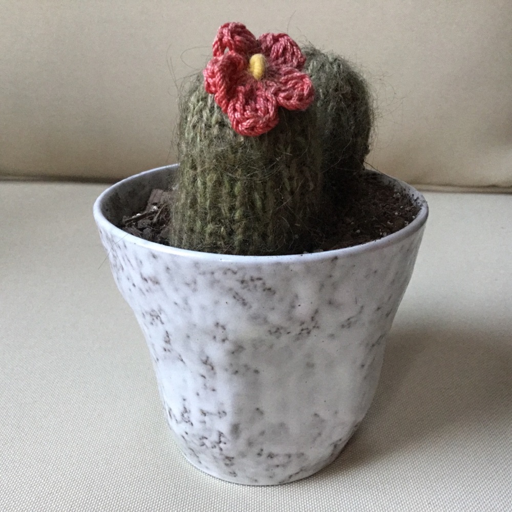 Knit Cactus - Picture 2 of 3